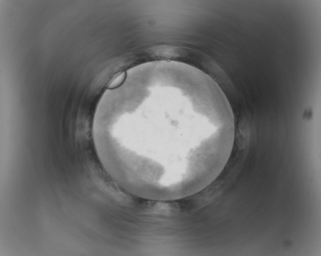 X0000112090330200909151142