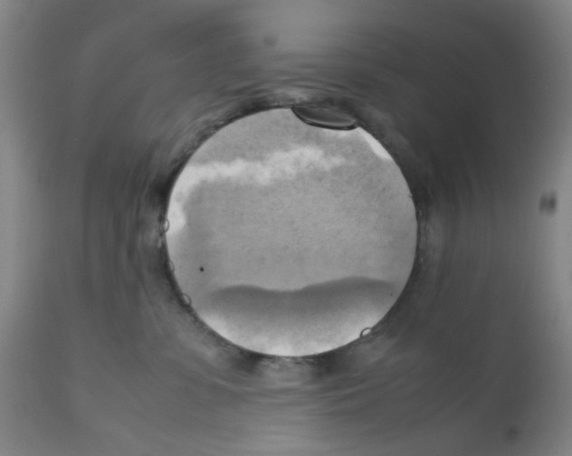 X0000112090331200909151142