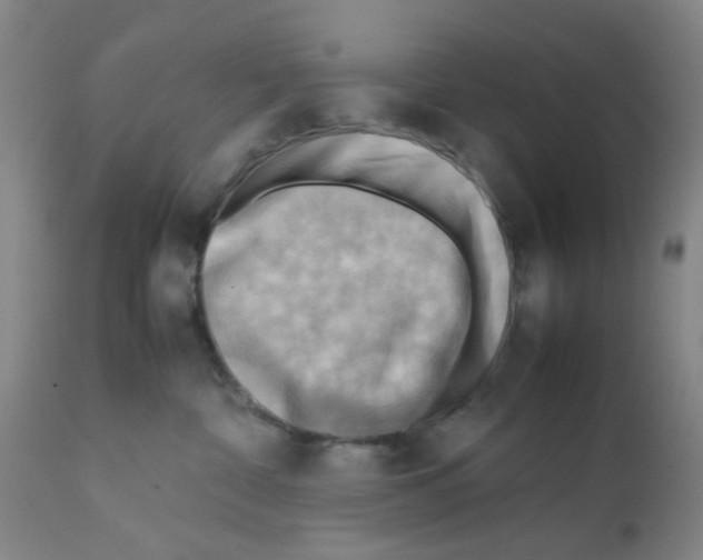 X0000112090332200909151142