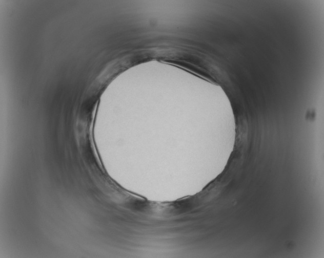 X0000112090333200909151142