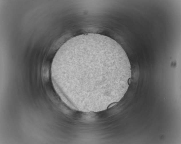 X0000112090334200909151142