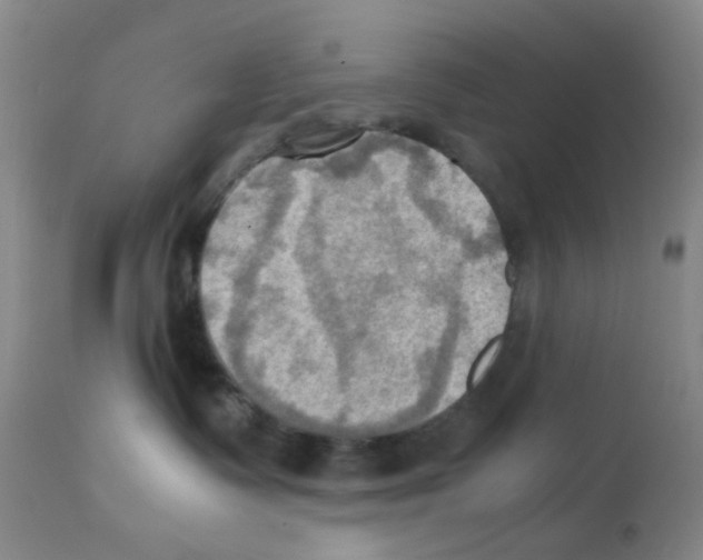 X0000112090335200909151142