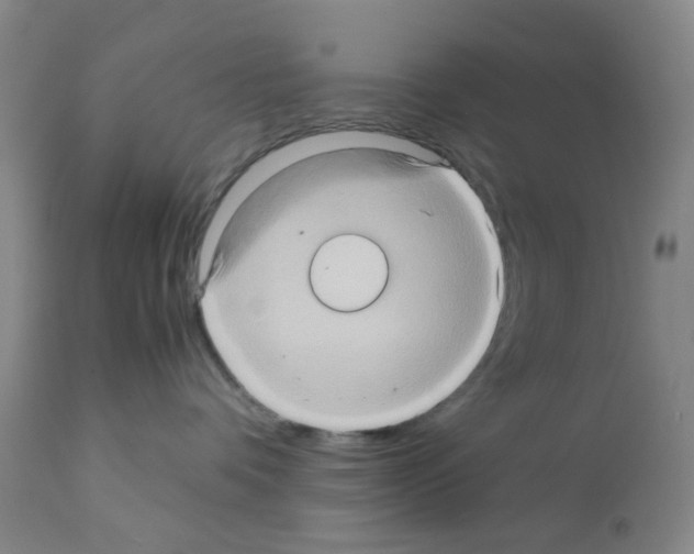 X0000112090336200909151142