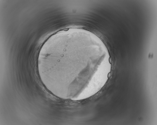 X0000112090337200909151141