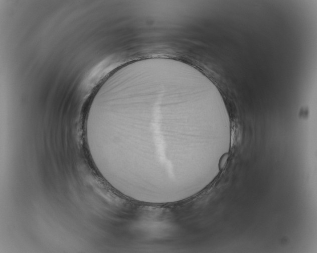 X0000112090339200909151141