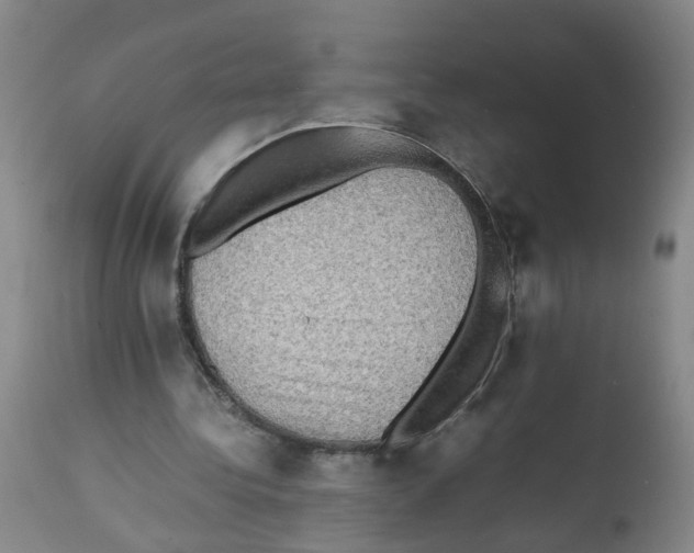X0000112090340200909151141