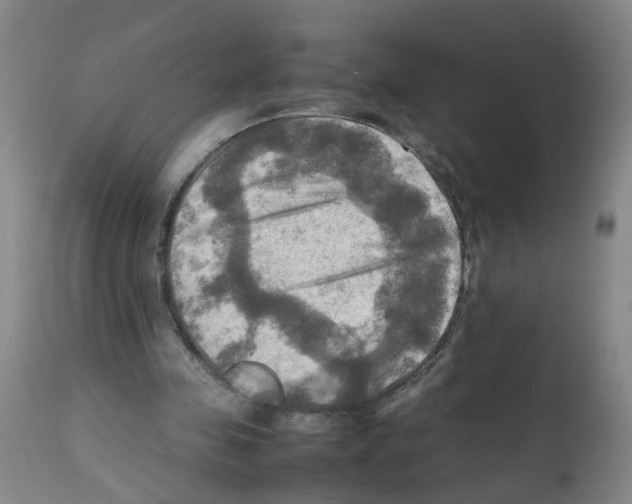 X0000112090341200909151141