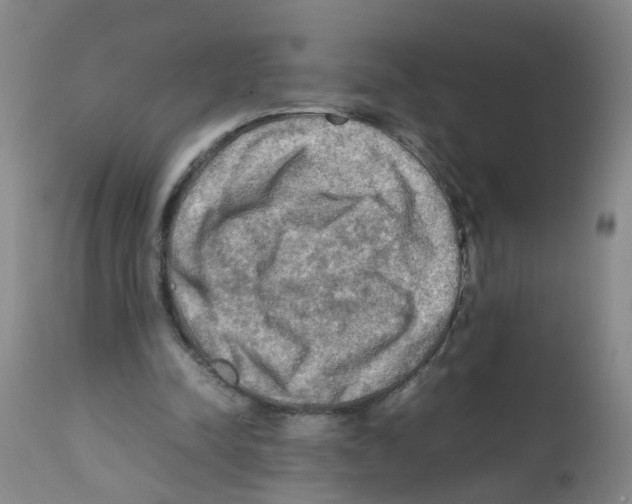 X0000112090342200909151141