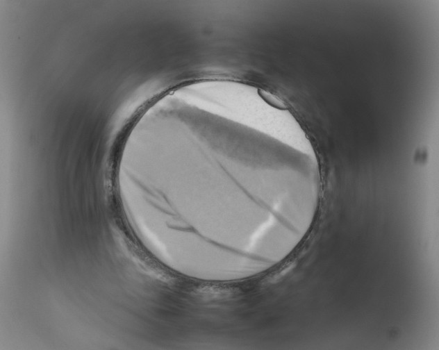 X0000112090343200909151141