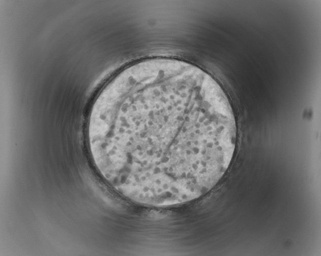 X0000112090346200909151141