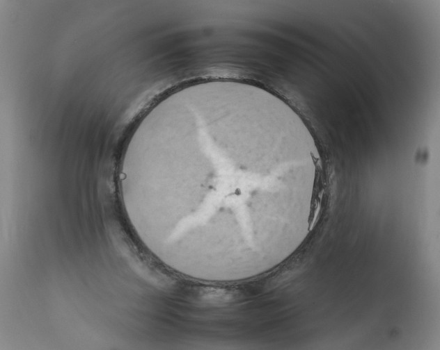 X0000112090347200909151141