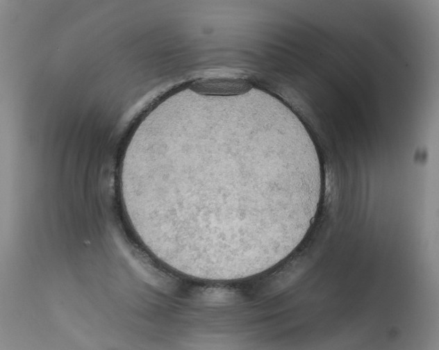 X0000112090348200909151141