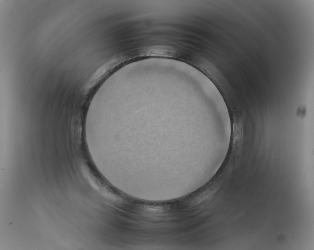 X0000112090349200909151141