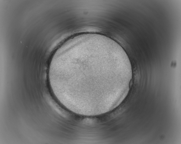 X0000112090350200909151141