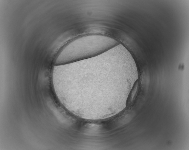 X0000112090352200909151141