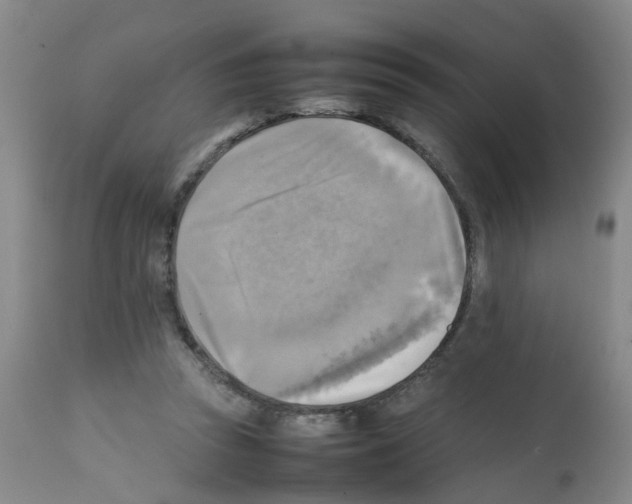 X0000112090353200909151141