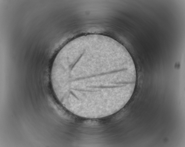 X0000112090354200909151141