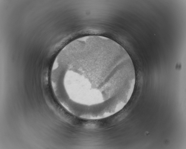X0000112090358200909151141