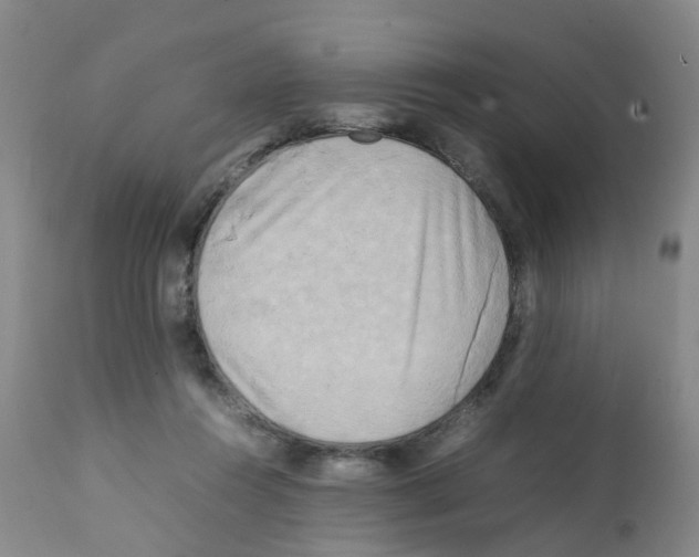 X0000112090360200909151141