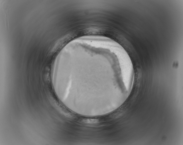 X0000112090361200909151141