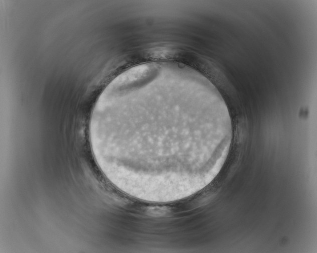 X0000112090363200909151141