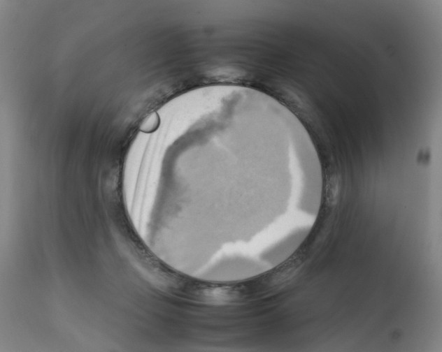 X0000112090365200909151142