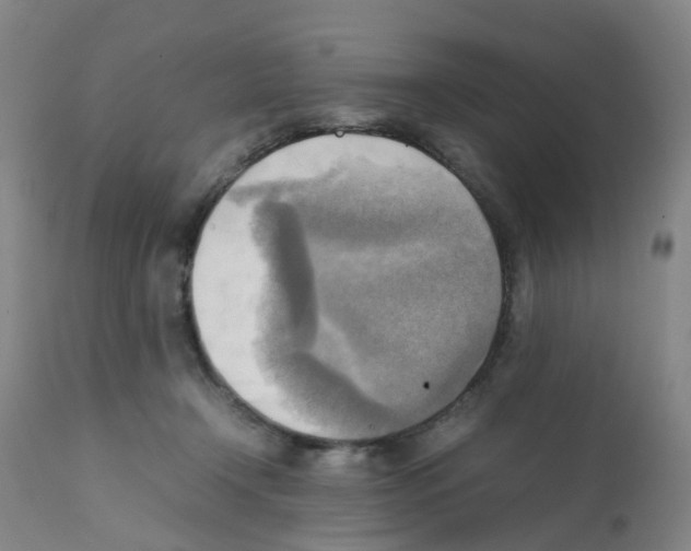 X0000112090366200909151142