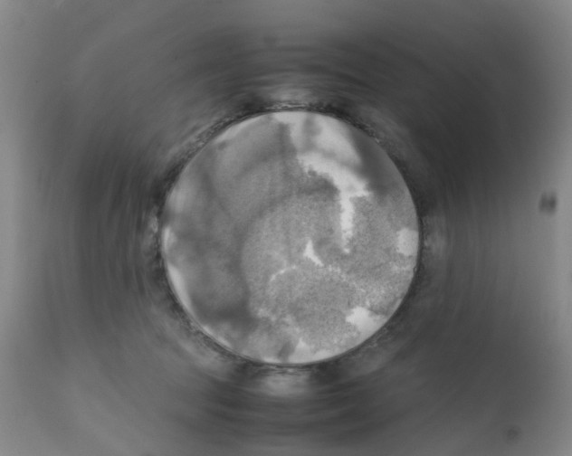 X0000112090369200909151142