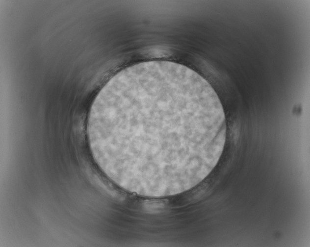 X0000112090373200909151142