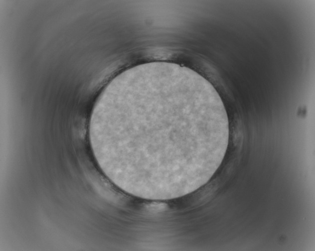 X0000112090374200909151142