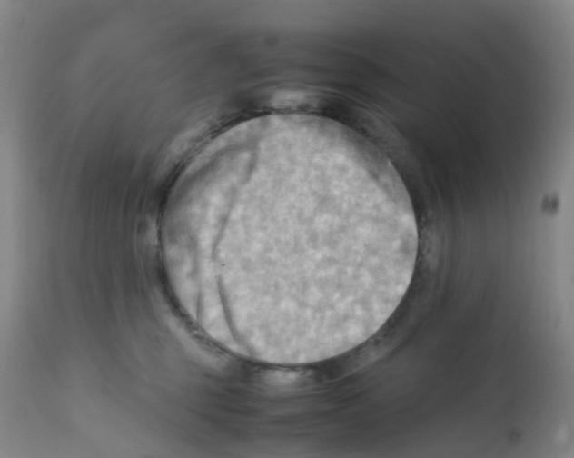 X0000112090375200909151142