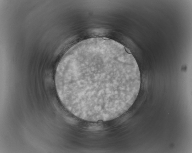 X0000112090377200909151142