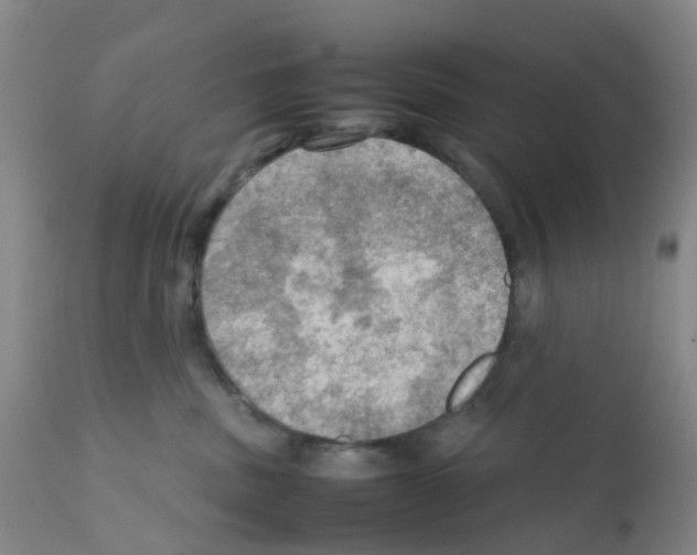 X0000112090379200909151142