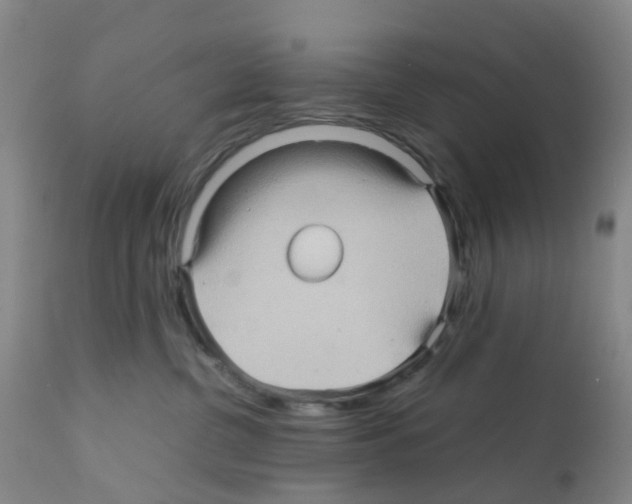 X0000112090380200909151142