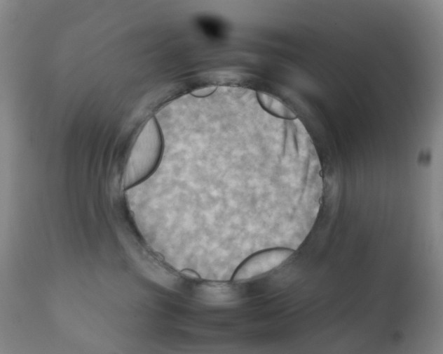 X0000112090381200909151142