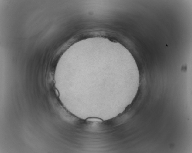 X0000112090382200909151142