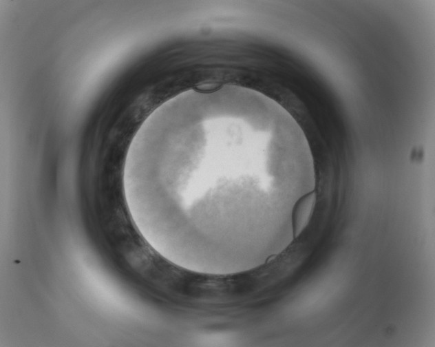 X0000112090383200909151142