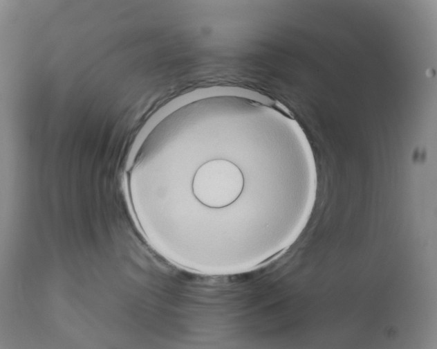 X0000112090384200909151142