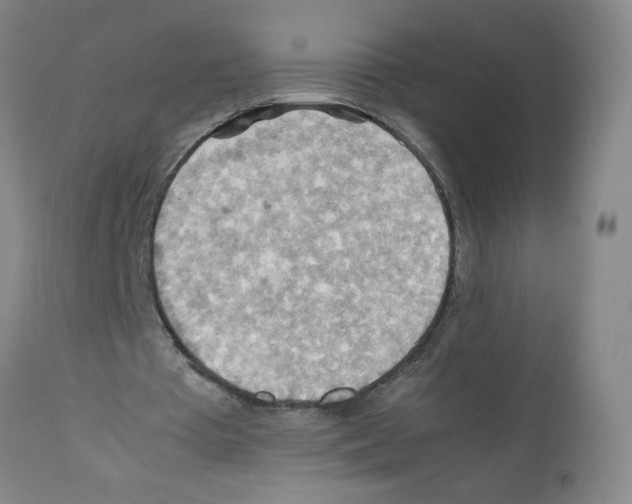 X0000112090385200909151141