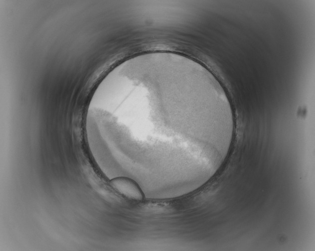 X0000112090386200909151141