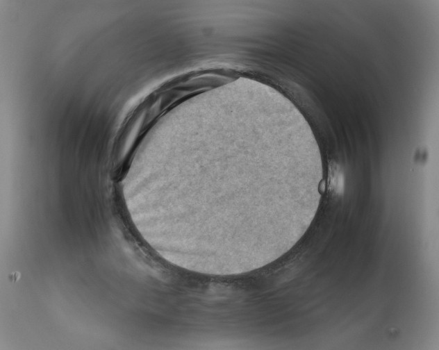 X0000112090388200909151141