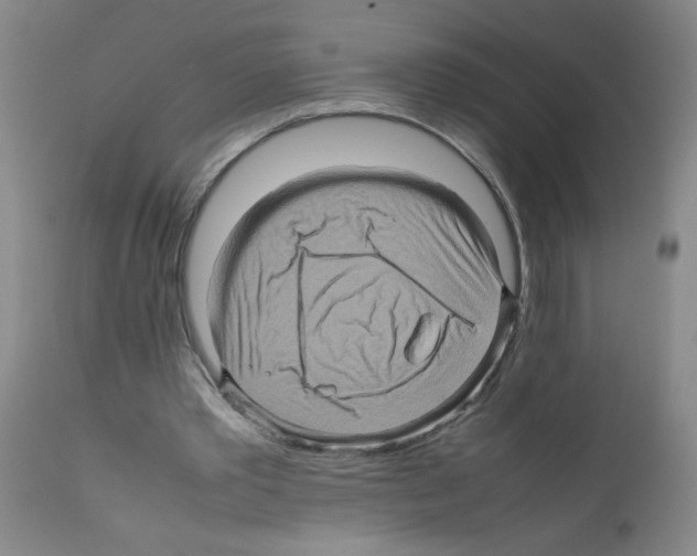 X0000112090389200909151141