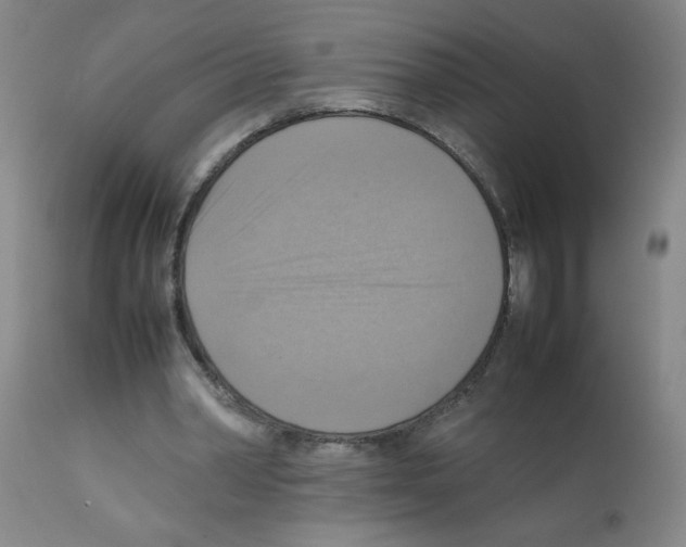 X0000112090390200909151141