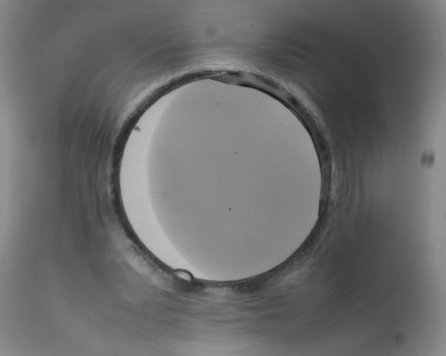 X0000112090391200909151141