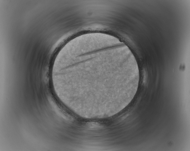 X0000112090392200909151141