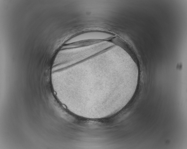 X0000112090393200909151141