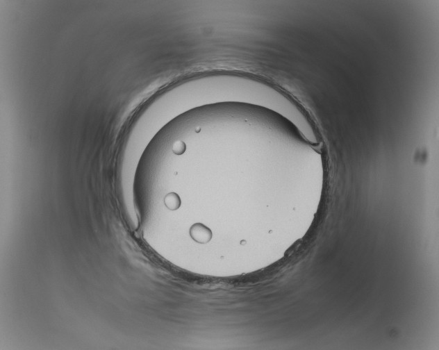 X0000112090395200909151141