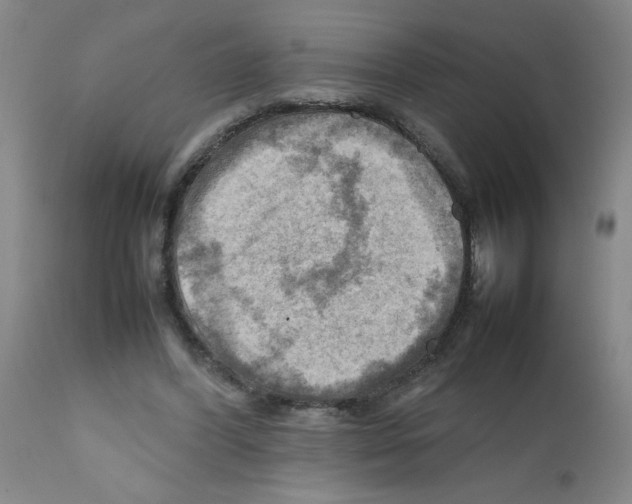 X0000112090396200909151141