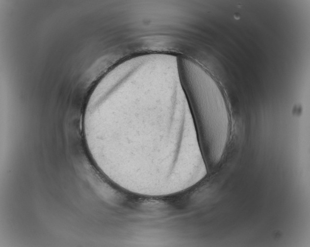 X0000112090397200909151141