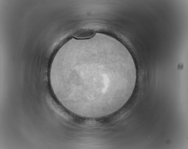 X0000112090399200909151141